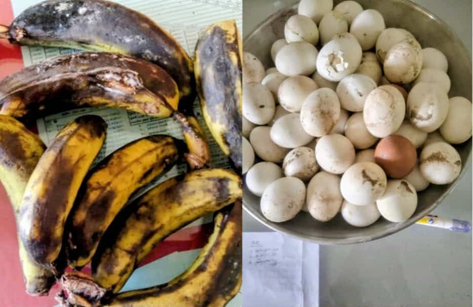 বাকেরগঞ্জে  প্রাথমিক বিদ্যালয়ের টিফিনে  পচা-বাসি খাবার স্বাস্থ্যঝুঁকিতে  শিক্ষার্থীরা